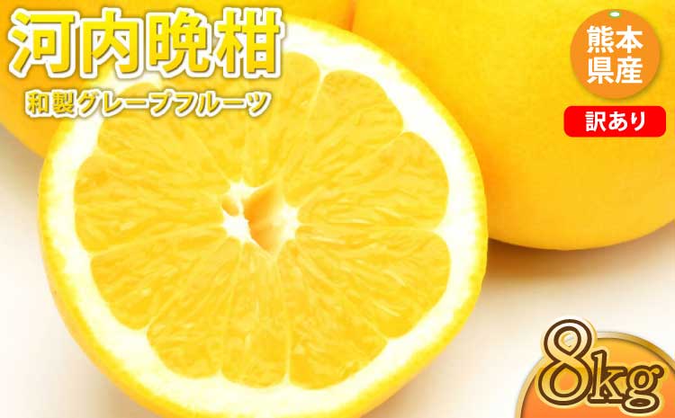 先行予約 訳あり 河内晩柑 ジューシーオレンジ 約8kg オレンジ みかん ミカン 蜜柑 柑橘 熊本県 宇城市 送料無料 2026年3月下旬から2026年7月下旬発送予定