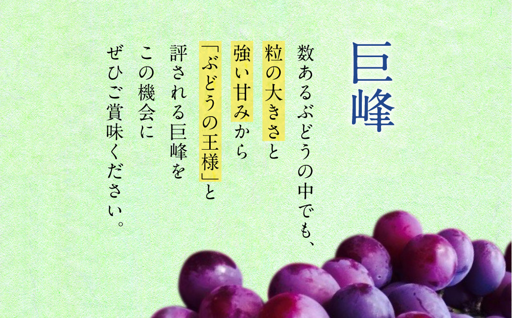 巨峰 2～3房 計約1kg 河野ぶどう園【8月上旬～9月上旬発送予定】