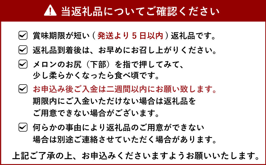 アンデスメロン 4玉入り 合計約5kg【サンサンうきっ子宇城彩館】【2025年4月下旬から5月上旬発送予定】メロン