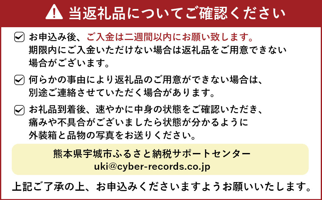 【先行予約】ジューシーオレンジ（河内晩柑） 10kg【のむちゃん農園】【2025年4月上旬～7月上旬発送予定】河内晩柑 みかん ミカン 柑橘 宇城市 