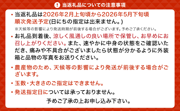 【先行予約】  訳あり はるか 約5kg（22玉〜27玉）【吉田レモニー】【2026年2月上旬〜2026年5月下旬発送】