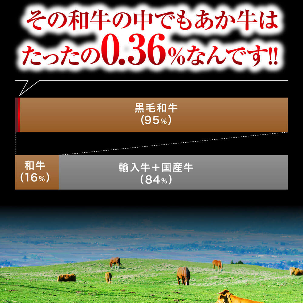 熊本県産 あか牛 スライス 計1kg（500g×2パック）国産 和牛 牛肉
