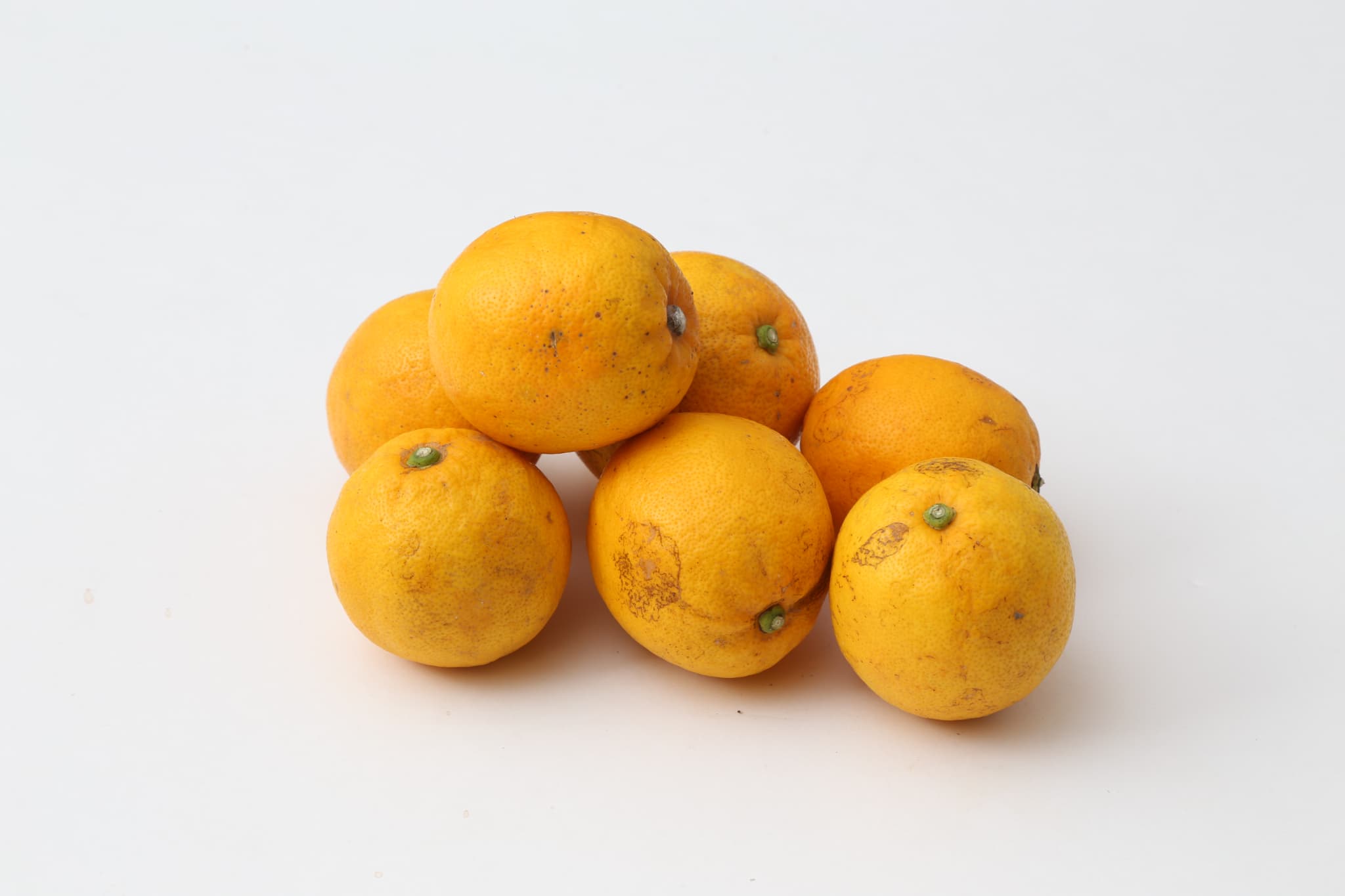 食べるレモン スイートレモネード 約3kg（20〜30玉）【吉田レモニー】【2025年12月上旬-2026年6月上旬発送】