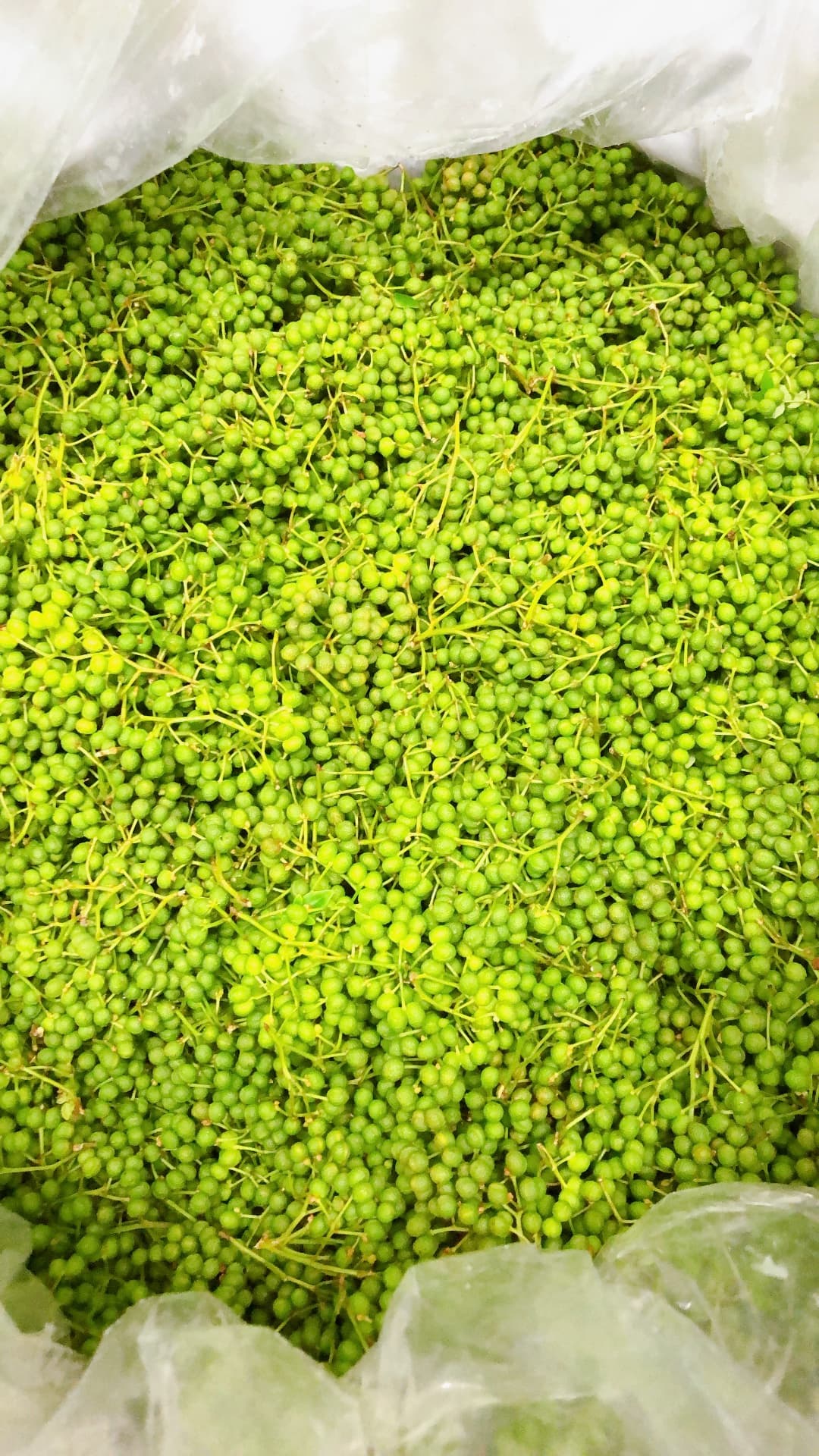 【微辛】馬婆豆腐の素 150g（2〜3人前）×5パック 馬婆豆腐 馬婆豆腐の素 豆板醤 馬肉 調味料