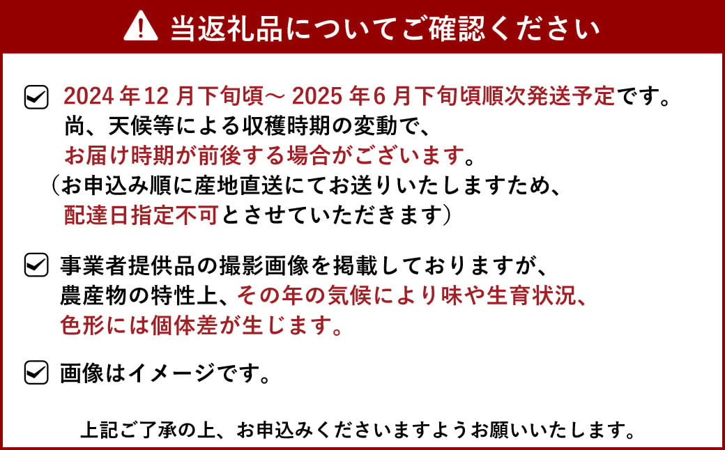 ミニトマト 千果 2kg（サイズS～3L混合）【 冨田農園 】【12月下旬～2025年6月下旬発送予定】 やさい 野菜 トマト とまと プチトマト 新鮮 フレッシュ