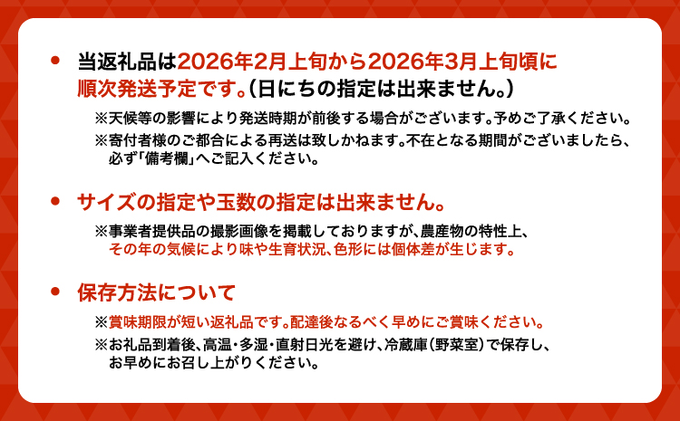 先行予約 いちご 恋のぞみ (250g×4パック) 合計1kg 【2026年2月上旬～3月上旬発送予定】熊本県産  冷蔵 小分け いちご 熊本県産 苺 JA熊本うき