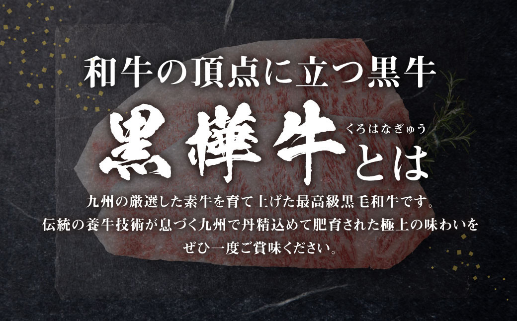 九州産黒毛和牛 杉本本店 黒樺牛 A4～A5等級 肉厚サーロインステーキ 300g×2 計600g