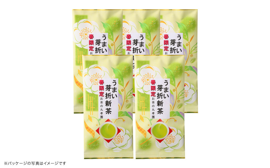 芽折新茶 5袋セット 100g×5袋 500g【2024年5月下旬から6月下旬順次発送予定】