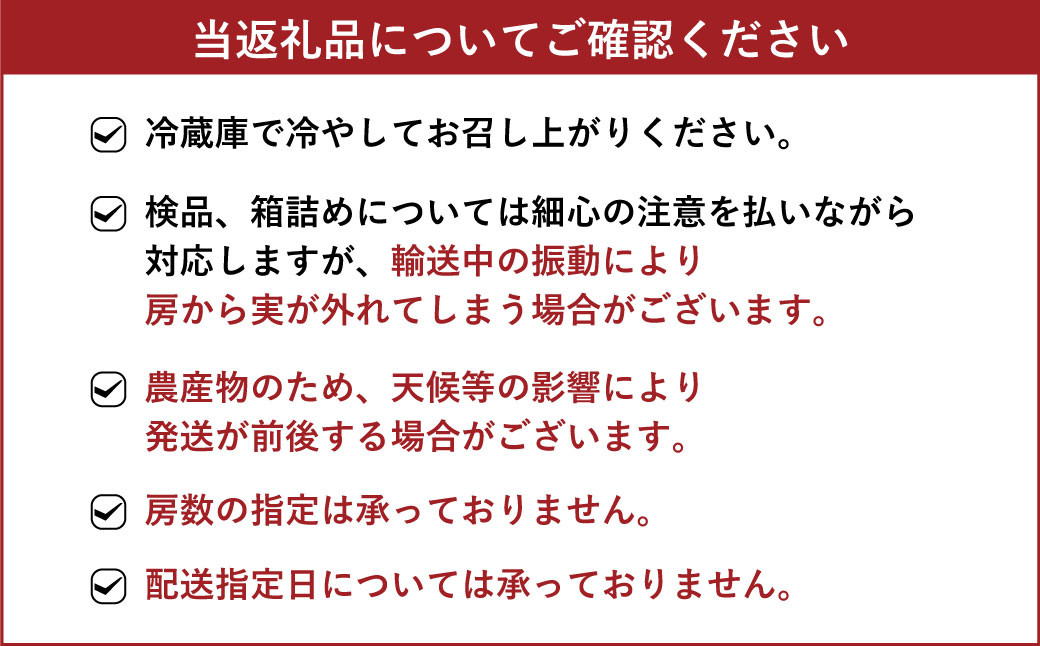 紅瑞宝 べにずいほう 約1kg 2～3房 河野ぶどう園【8月上旬～9月上旬発送予定】