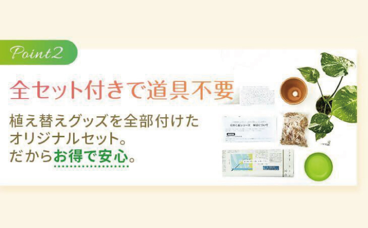 【森水木のラン屋さん】斑入り モンステラ タイ コンステレーション 2.5号ポット 栽培苗 植え替えセット付き ベージュ系素焼き鉢 熊本県 宇城市産 モンステラ 希少品種 観葉植物 インテリア グリーン 希少 希少品種 斑入り植物 おしゃれ ギフト 室内 人気 初心者 向け リビング 開店祝い 新築祝い