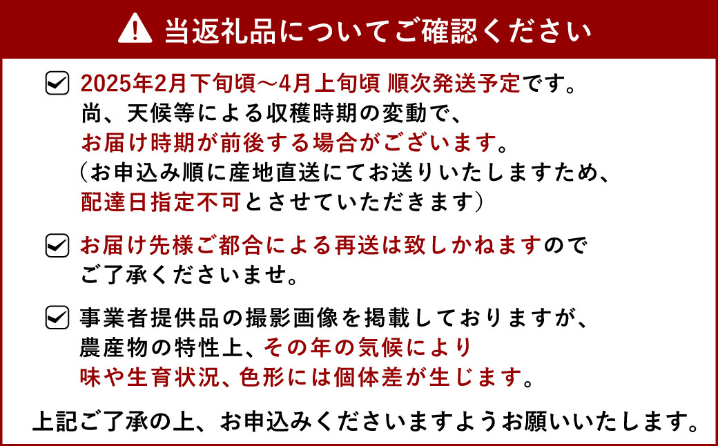 【先行予約】不知火 約3kg【坂下園】【2025年2月下旬から2025年4月上旬発送予定】しらぬい 蜜柑 熊本県産 九州産 国産