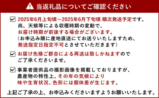 アールスメロン 2玉入り 合計約3.4kg【サンサンうきっ子宇城彩館】【2025年6月上旬から6月下旬発送予定】メロン