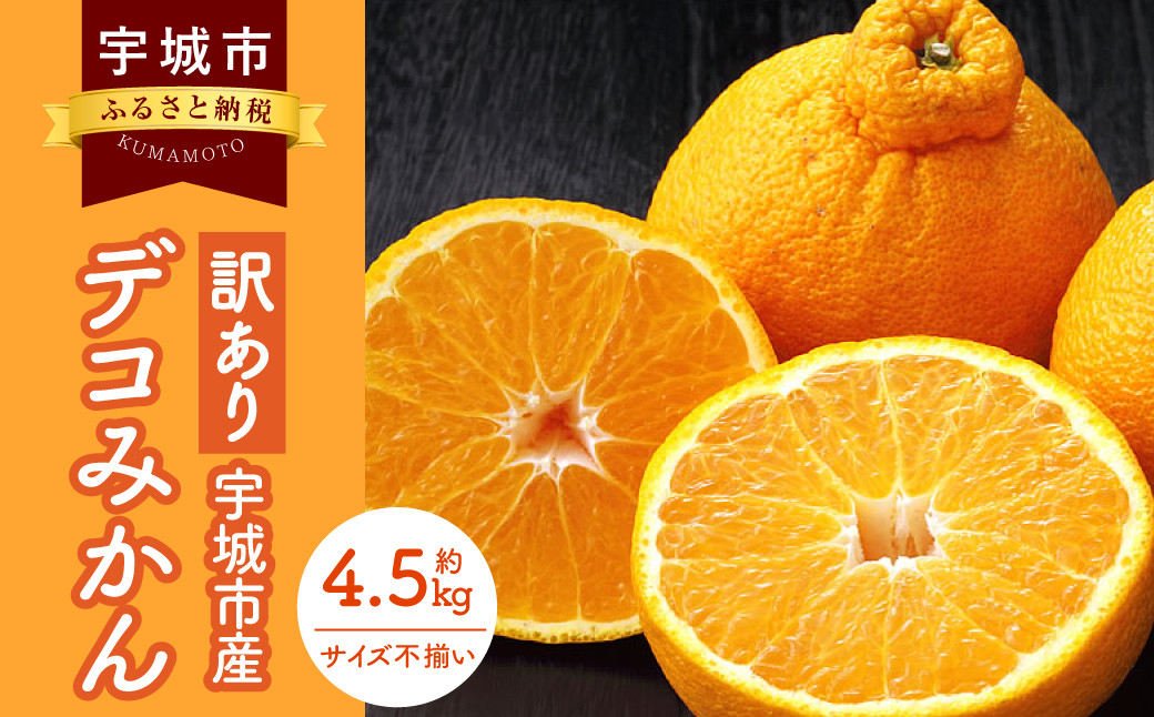 訳あり デコみかん 4.5kg【2025年1月下旬から2025年4月下旬発送予定】  家庭用 規格外 フルーツ みかん 果物 果物 旬