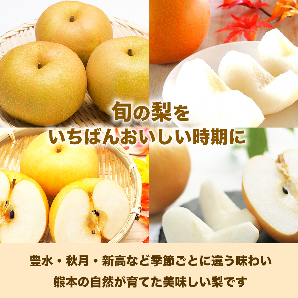 先行予約 旬の梨 品種おまかせ 約1.8kg (5〜8玉)【2026年8月上旬〜2026年10月中旬配送予定】梨 なし ナシ 幸水 豊水 秋月 新高 新興 秋麗 甘太 凛果 にっこり 愛宕 果物 フルーツ くだもの おまかせ 国産 熊本県 日本フルーツ