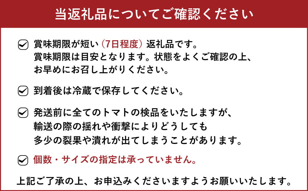 宇城市産 フルーツトマト アイコ 約2kg【6月下旬までに発送予定】【しんたのトマト農園】