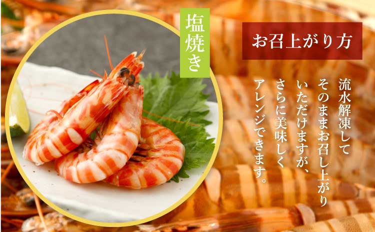 特殊冷凍 車海老 (大サイズ) 250g×3パック 計750g 熊本県産