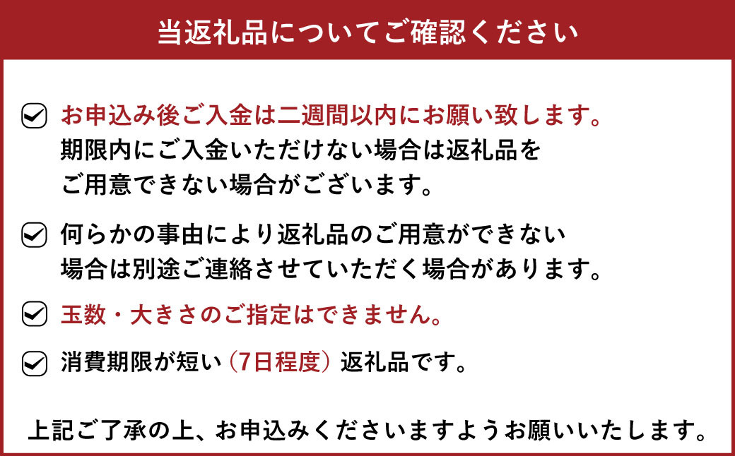 メロン（肥後グリーン）2玉入り 合計約3kg～約4kg【サンサンうきっ子宇城彩館】【2025年5月下旬から6月上旬発送予定】