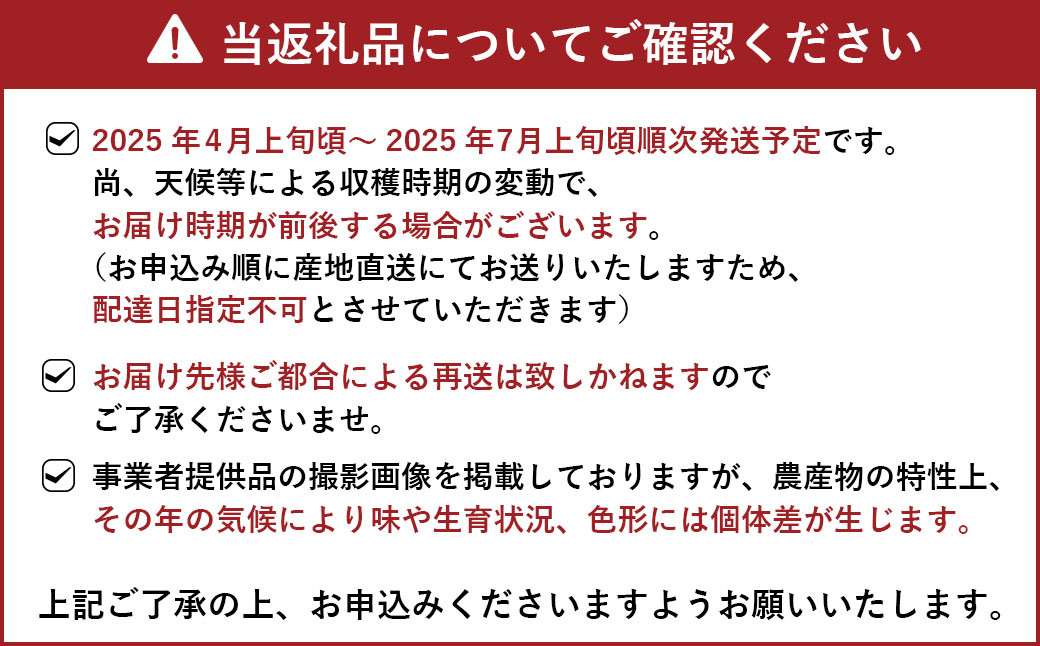 【先行予約】ジューシーオレンジ（河内晩柑） 10kg【のむちゃん農園】【2025年4月上旬～7月上旬発送予定】河内晩柑 みかん ミカン 柑橘 宇城市 