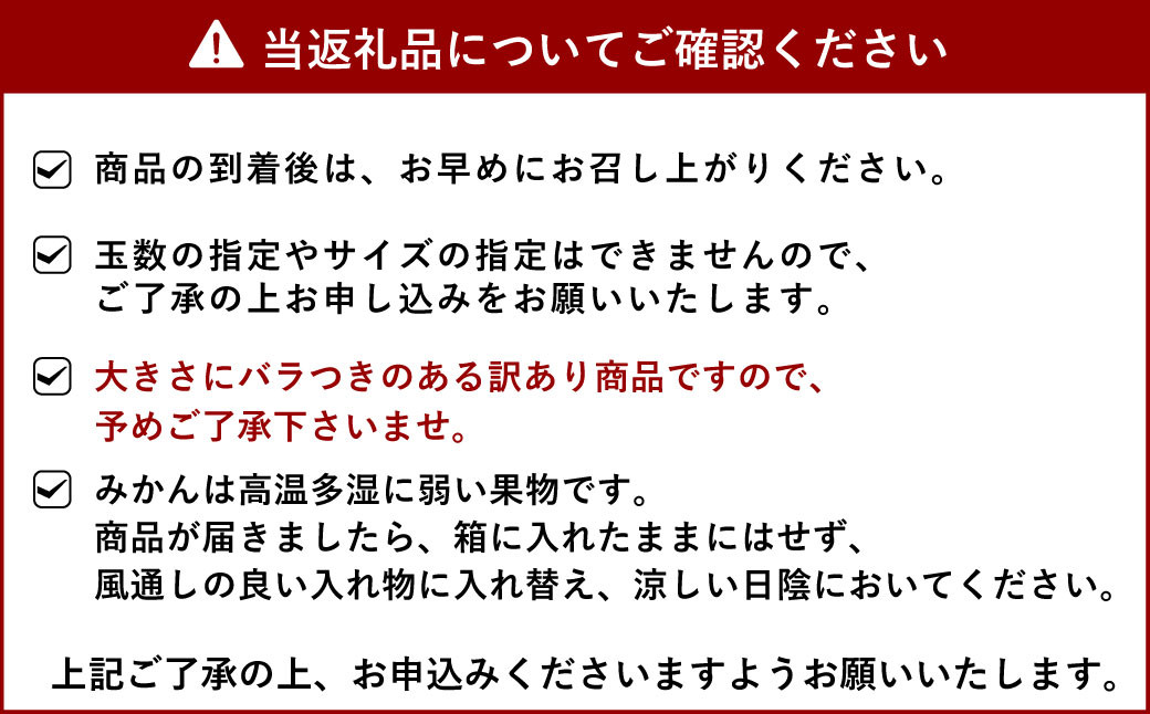 【11月上旬〜順次発送】宇城市産 温州みかん 約10kg 高橋果樹園