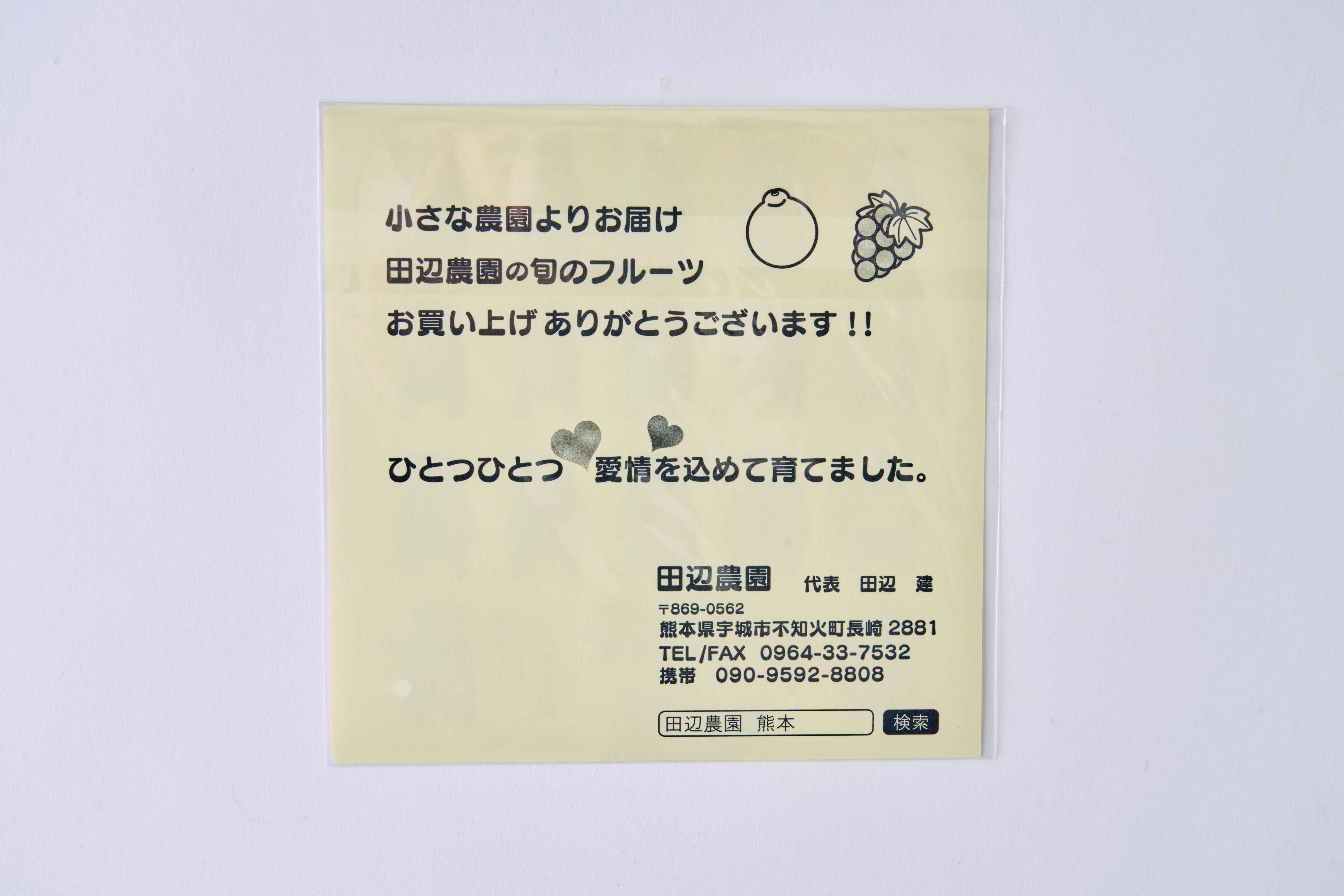 先行予約 不知火 果実の宝箱葉付きデコ柑不知火 約2.5kg 7玉〜11玉 【2026年3月上旬から5月下旬発送予定】 しらぬい 柑橘 みかん ミカン 蜜柑 果物 くだもの フルーツ 九州産 熊本県産 宇城市産 国産 田辺農園