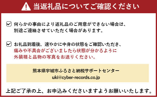 【先行予約】 恋する 不知火 約5kg 【御舩果樹園】【2025年4月上旬から2025年6月下旬発送予定】 果物 くだもの フルーツ 柑橘 しらぬい 国産