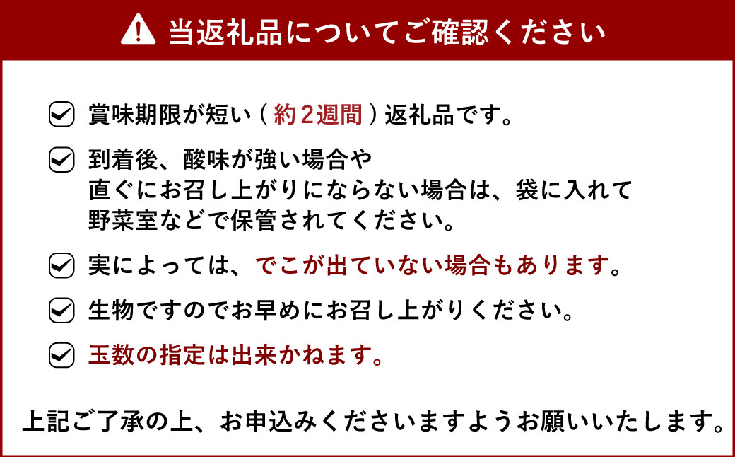 【2024年2月下旬～順次発送予定】不知火 約3kg