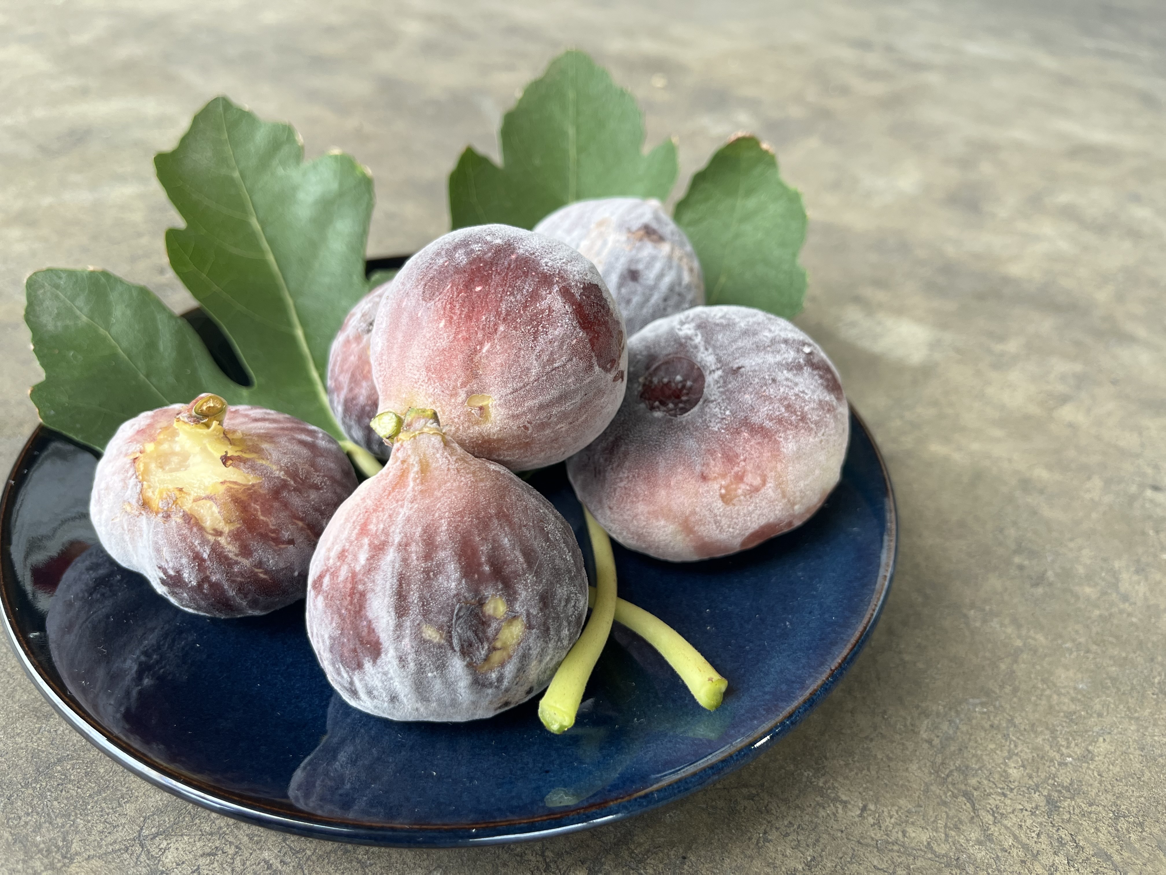 訳あり 冷凍 イチジク 約1.5kg【合同会社宝Farm】