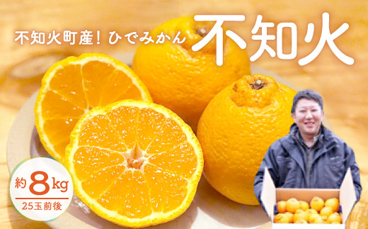 不知火 8kg（25個前後）ひでみかん 柑橘 果物