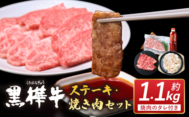 黒樺牛 ステーキ・焼き肉セット 約1.1kg 焼肉 牛肉 サーロインステーキ ロース焼き肉 白ホルモン タレ付き みそだれ 味噌 和牛 牛 ブランド牛 おかず BBQ バーベキュー 肉の日 冷凍 九州産 ギフト プレゼント 贈り物