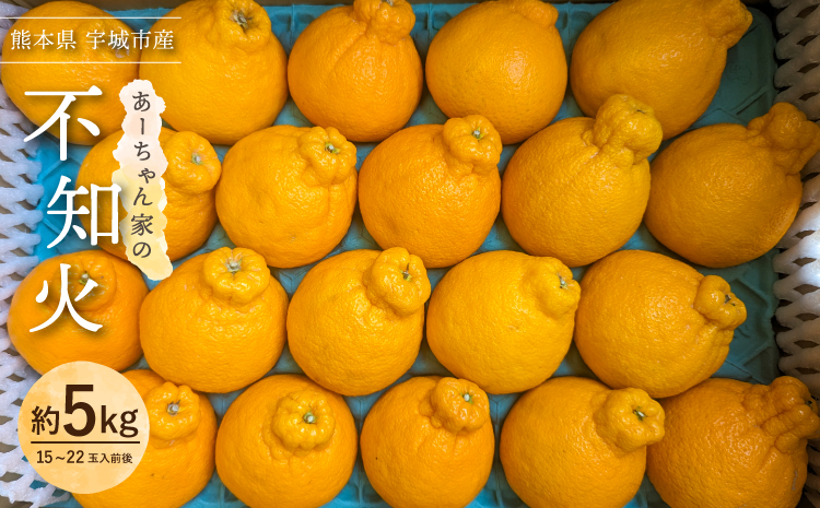 【先行予約】宇城市産  あーちゃん家の 不知火 5kg 【2026年4月上旬〜5月下旬発送予定】 しらぬい 柑橘 みかん ミカン 蜜柑 オレンジ
