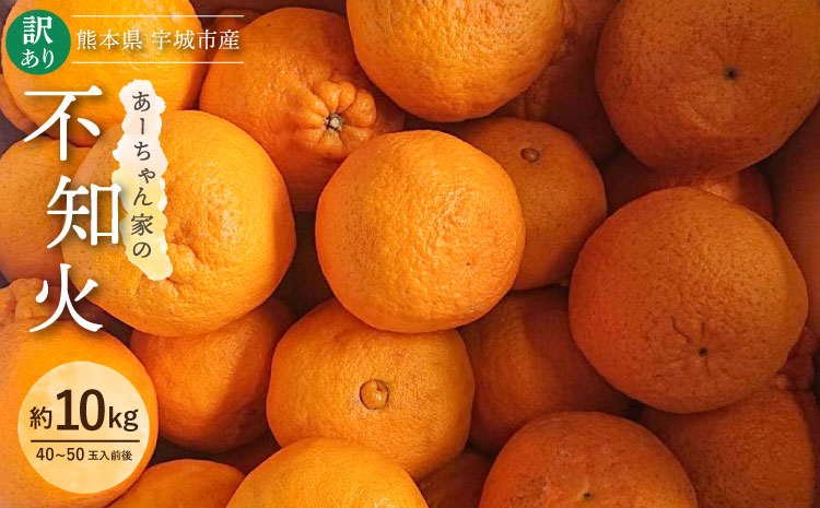 【先行予約】 みかん 不知火 あーちゃん家の不知火 訳あり 10kg 約40〜50玉前後 【2026年4月上旬〜5月下旬発送予定】 わけあり しらぬい 柑橘 熊本県産 九州産 国産 宇城市産