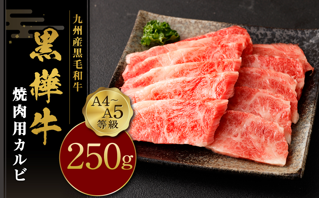 九州産黒毛和牛 杉本本店 黒樺牛 A4〜A5等級 焼肉用カルビ 250g