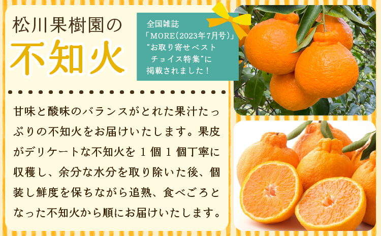先行予約【雑誌 MORE 掲載】不知火 約3kg (約9～12玉) 【2026年3月上旬から4月下旬発送予定】しらぬい 柑橘 みかん ミカン 蜜柑 果物 くだもの フルーツ 九州産 熊本県産 宇城市産 国産