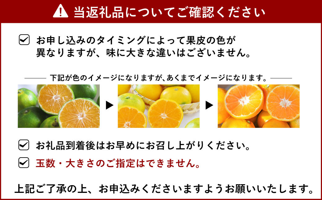 宇城市産 スイートスプリング 約5kg 【のむちゃん農園】【11月下旬から2025年2月下旬発送予定】スイートスプリング みかん 柑橘 果物 フルーツ 熊本県 