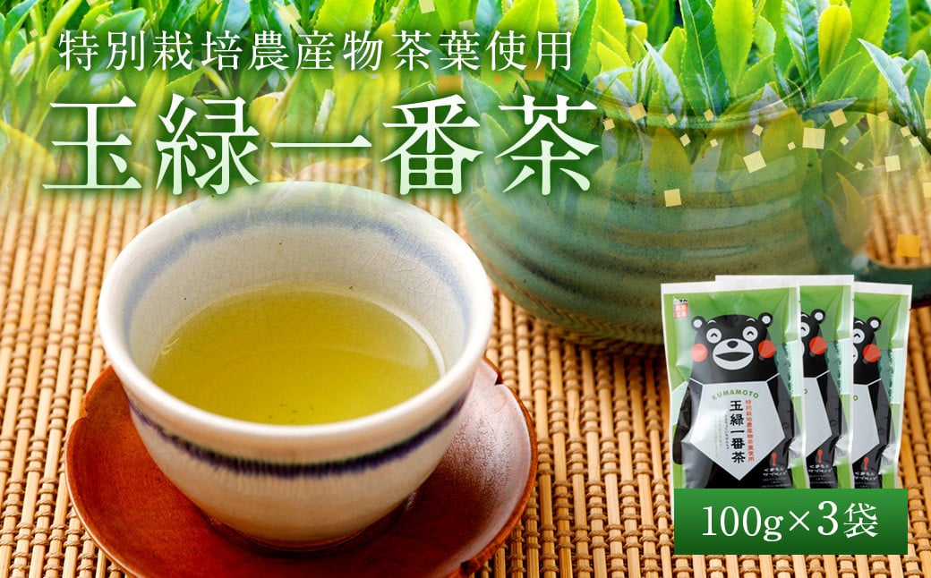 緑茶 お茶 茶葉 100g×3袋 くまモン 玉緑一番茶100g×3袋セット