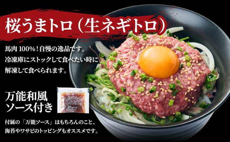 馬刺し 熊本 合計1.04kg 【売り切れ御免】【訳あり】【数量限定】馬刺し 合計約1.04kg 赤身 ブロック 桜うまトロ