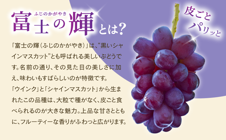 先行予約 黒いシャインマスカット 富士の輝 2房（約500g×2）計約1kg【2026年8月上旬から8月下旬発送予定】 清水果樹園 シャインマスカット マスカット ブドウ ぶどう 熊本県 宇城市