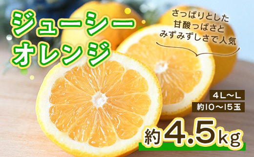 【先行予約】 ジューシーオレンジ 約4.5kg みかん ミカン オレンジ 蜜柑 果物 柑橘 河内晩柑 フルーツ くだもの 熊本 九州産 甘い ビタミンC グレープフルーツ 家庭用 自宅用 国産 くまふる 【2026年4月上旬頃から順次発送予定】