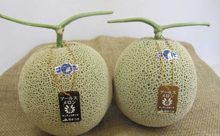 【先行予約】【2026年6月上旬〜6月下旬頃発送予定】アールスメロン 2玉入り 合計約3.4kg