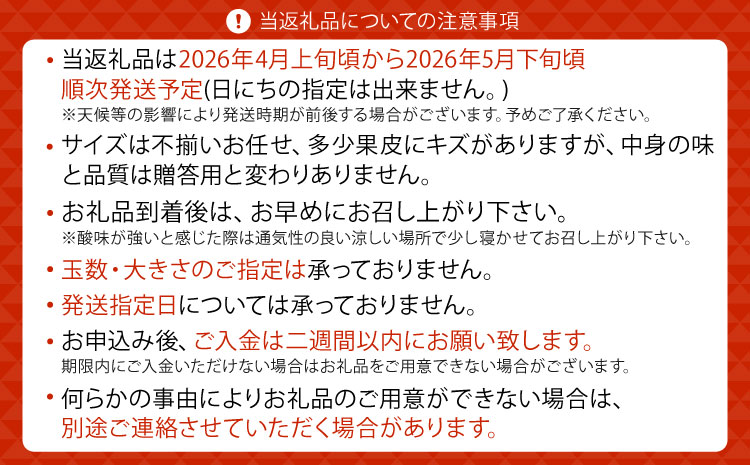 みかん 不知火 あーちゃん家の不知火 訳あり 10kg 約40〜50玉前後 【2026年4月上旬〜5月下旬発送予定】 わけあり しらぬい 柑橘 熊本県産 九州産 国産 宇城市産 