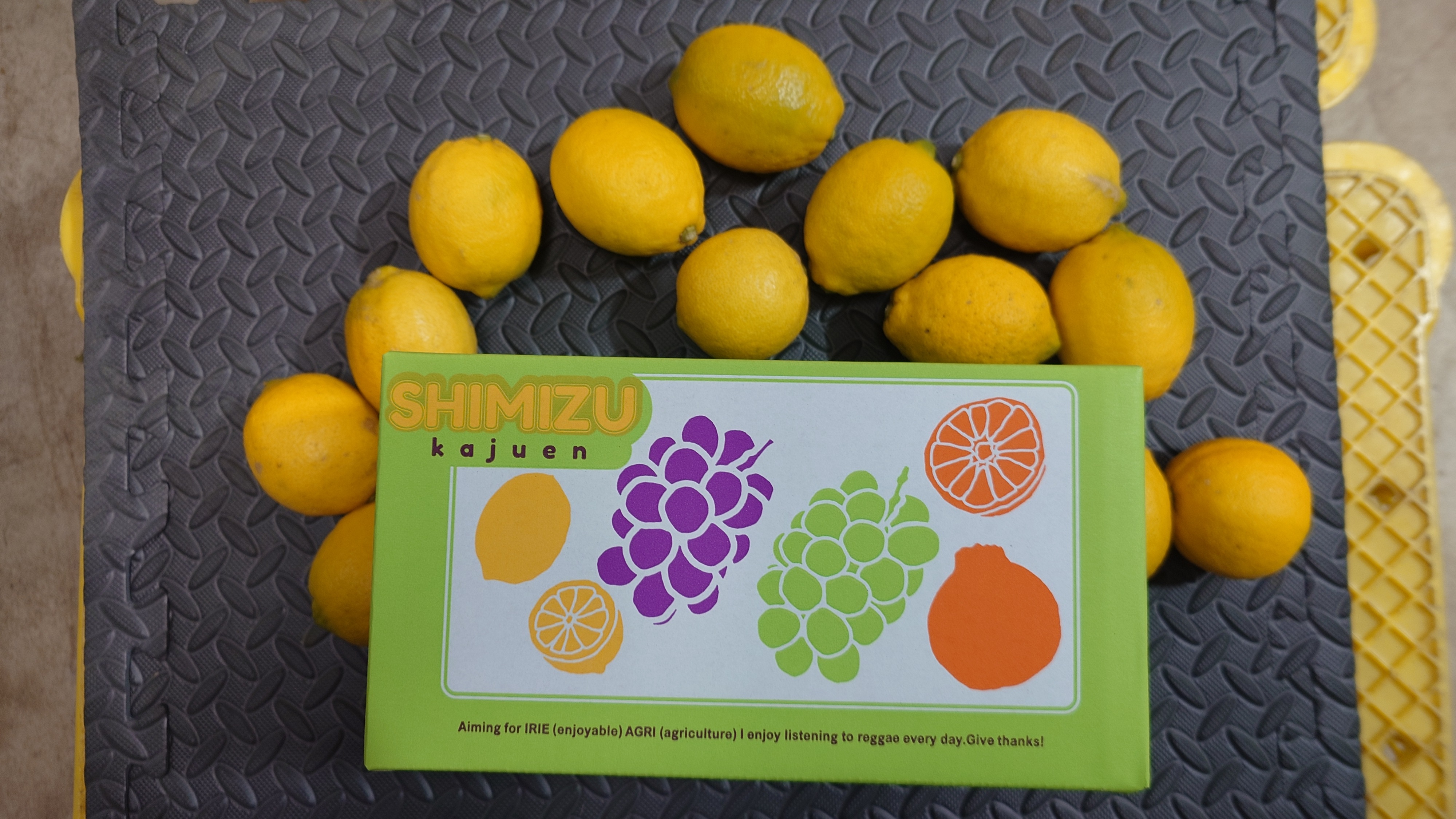  ユーレカ レモン 約2kg（20玉前後）【清水果樹園】【2026年11月上旬から11月下旬発送予定】 レモン 檸檬 国産レモン ノーワックス 防腐剤不使用 柑橘  調味料 国産 九州 熊本県 宇城市