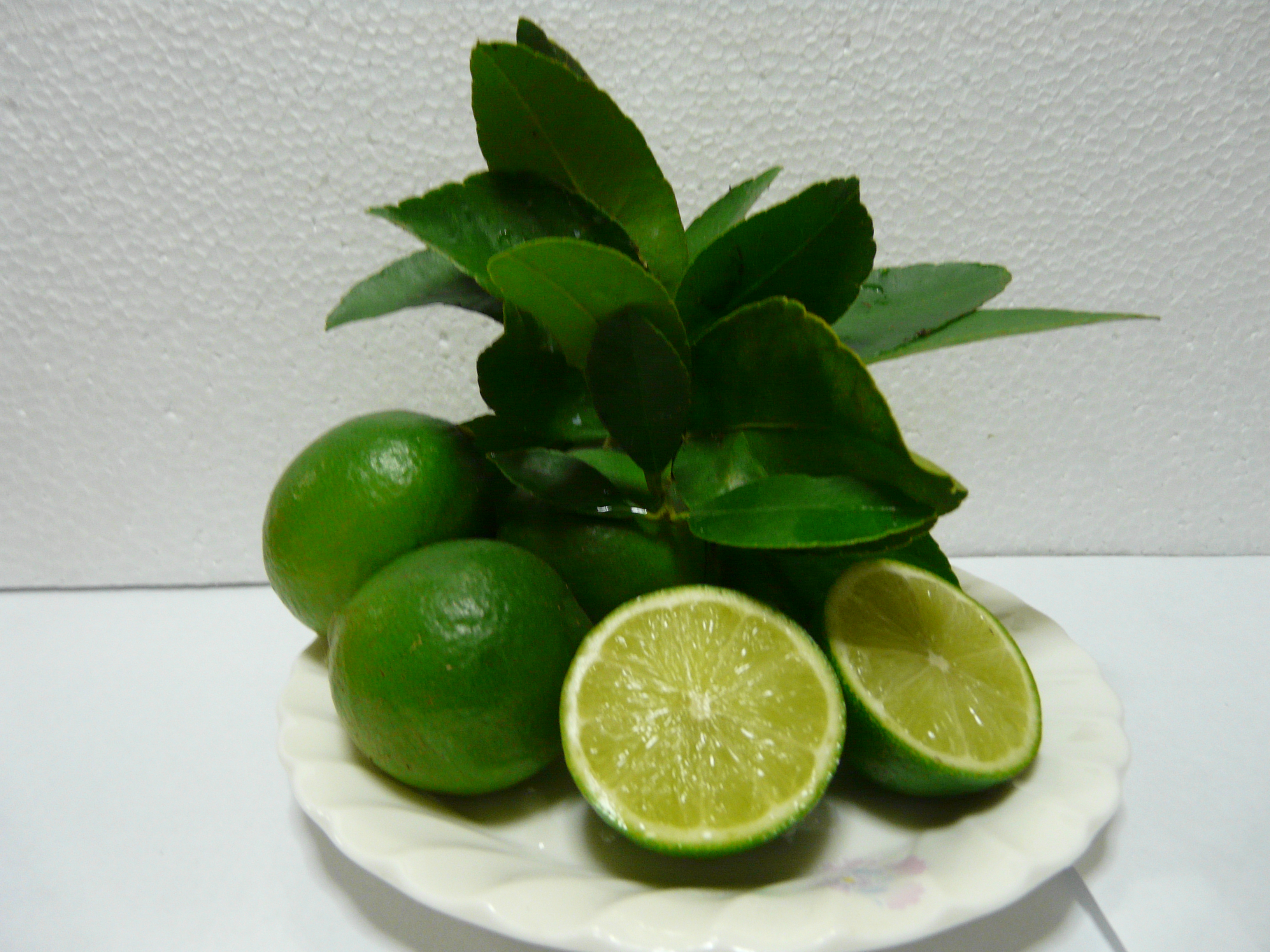 ライム 国産 約1.5kg 10～20玉【吉田レモニー】【2025年9月下旬-2026年3月中旬発送】柑橘 小玉 らいむ