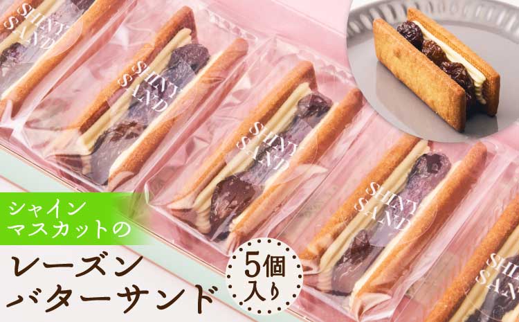 シャインマスカット レーズンバターサンド バターサンド ラムレーズン クッキー スイーツ お菓子 ぶどう 干しぶどう 大粒ぶどう 国産バター ギフト 贈答用 お土産 手作り 国産 洋菓子 自社農園 自社加工 熊本 熊本県 宇城市 5個入り