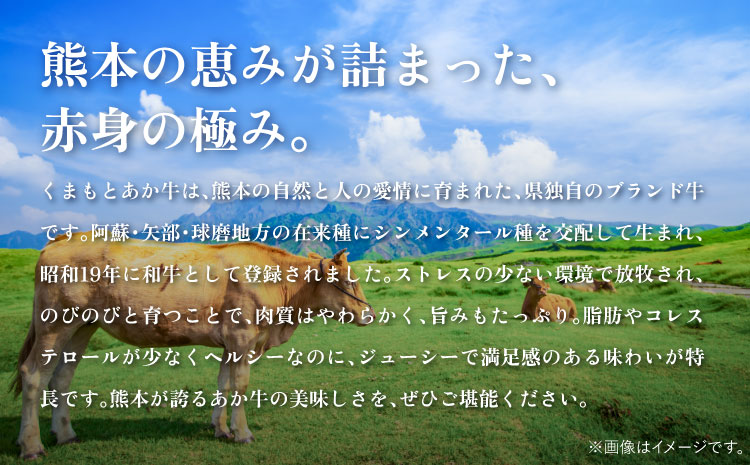 あか牛ヒレ肉 シャトーブリアン 約3kg(約150g×20枚)