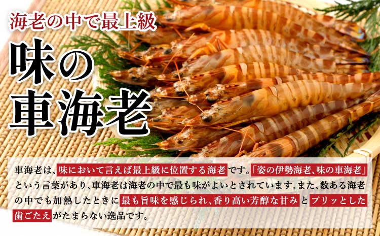 熊本県産 急速冷凍 車海老 250g(9〜13尾) 生食可 瞬間冷凍