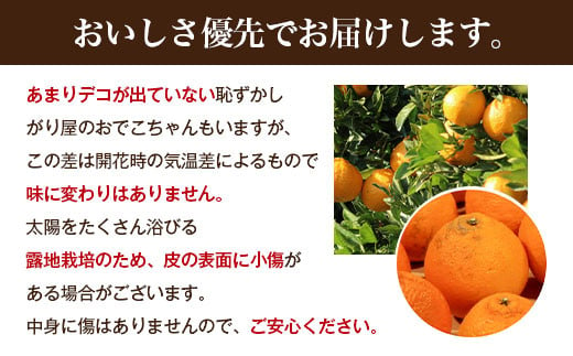 【先行予約】訳あり品 おでこちゃん 約4kg 【2025年2月上旬から3月上旬発送予定】みかん 不知火 柑橘 フルーツ 果物