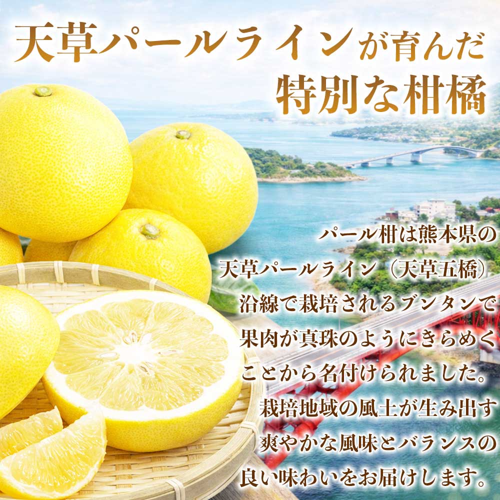 先行予約 パール柑 文旦 秀品 約5kg 【2027年2月上旬〜2027年3月下旬配送予定】ぱーるかん ぶんたん 果物 フルーツ くだもの 柑橘 柑橘類 グレープフルーツ 国産 熊本 九州 産地直送 秀品 高品質 酸味控えめ 日本フルーツ