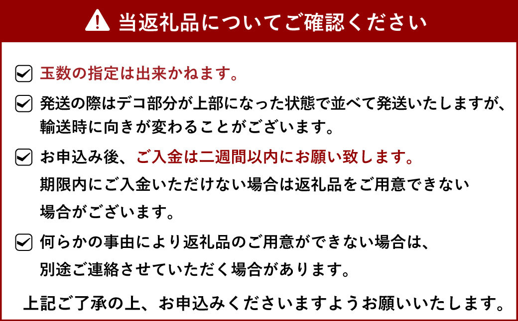 【先行予約】不知火 約10kg（40玉前後）【ひがし果樹園】【2025年3月上旬～4月下旬発送予定】柑橘 果物