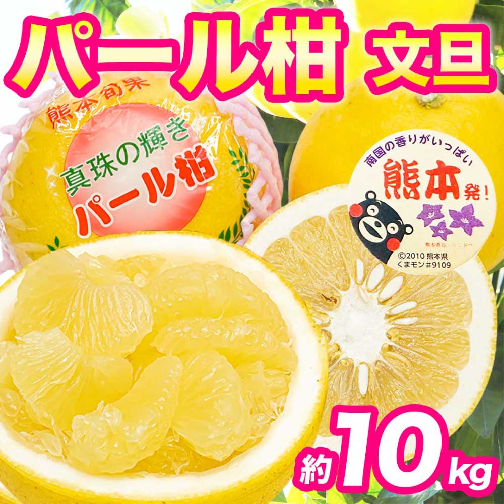 先行予約 パール柑 文旦 秀品 約10kg（12〜36玉）【2027年2月上旬〜2027年3月下旬配送予定】ぱーるかん ぶんたん 果物 フルーツ くだもの 柑橘 柑橘類 グレープフルーツ 国産 熊本 九州 産地直送 秀品 高品質 酸味控えめ 日本フルーツ