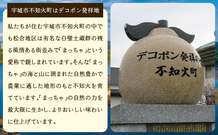 先行予約【雑誌 MORE 掲載】不知火 約3kg (約9～12玉) 【2026年3月上旬から4月下旬発送予定】しらぬい 柑橘 みかん ミカン 蜜柑 果物 くだもの フルーツ 九州産 熊本県産 宇城市産 国産